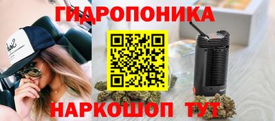 спиды Свободный
