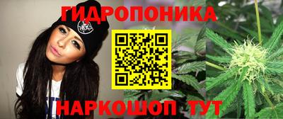 спиды Свободный