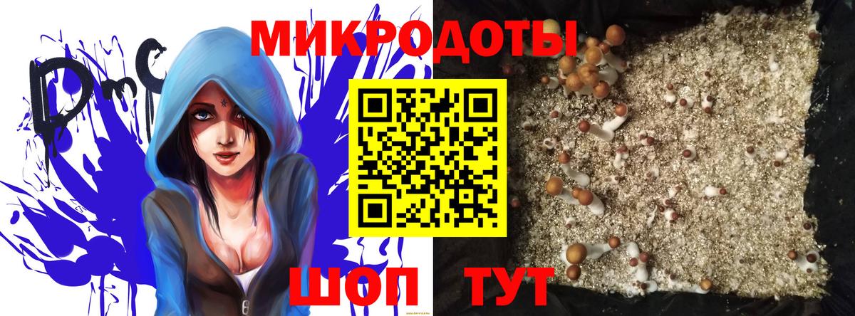 Баксан  Псилоцибиновые грибы мицелий  Галлюциногенные грибы GOLDEN TEACHER  Вход с VPN 